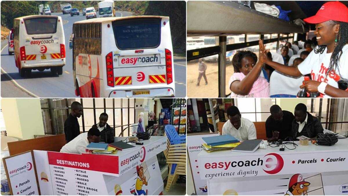 Easy Coach buses on the highway, onboard crew and branch booking counters