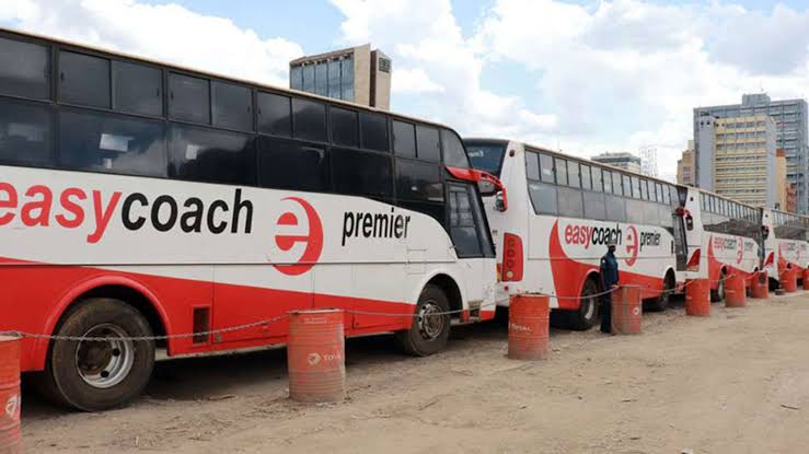 A line of Easy Coach Premier buses parked at the station