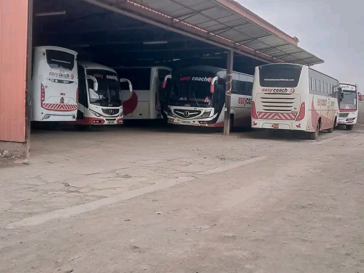 Easy Coach buses lined up at the depot