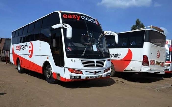 Easy Coach buses parked at the terminal ready for departure